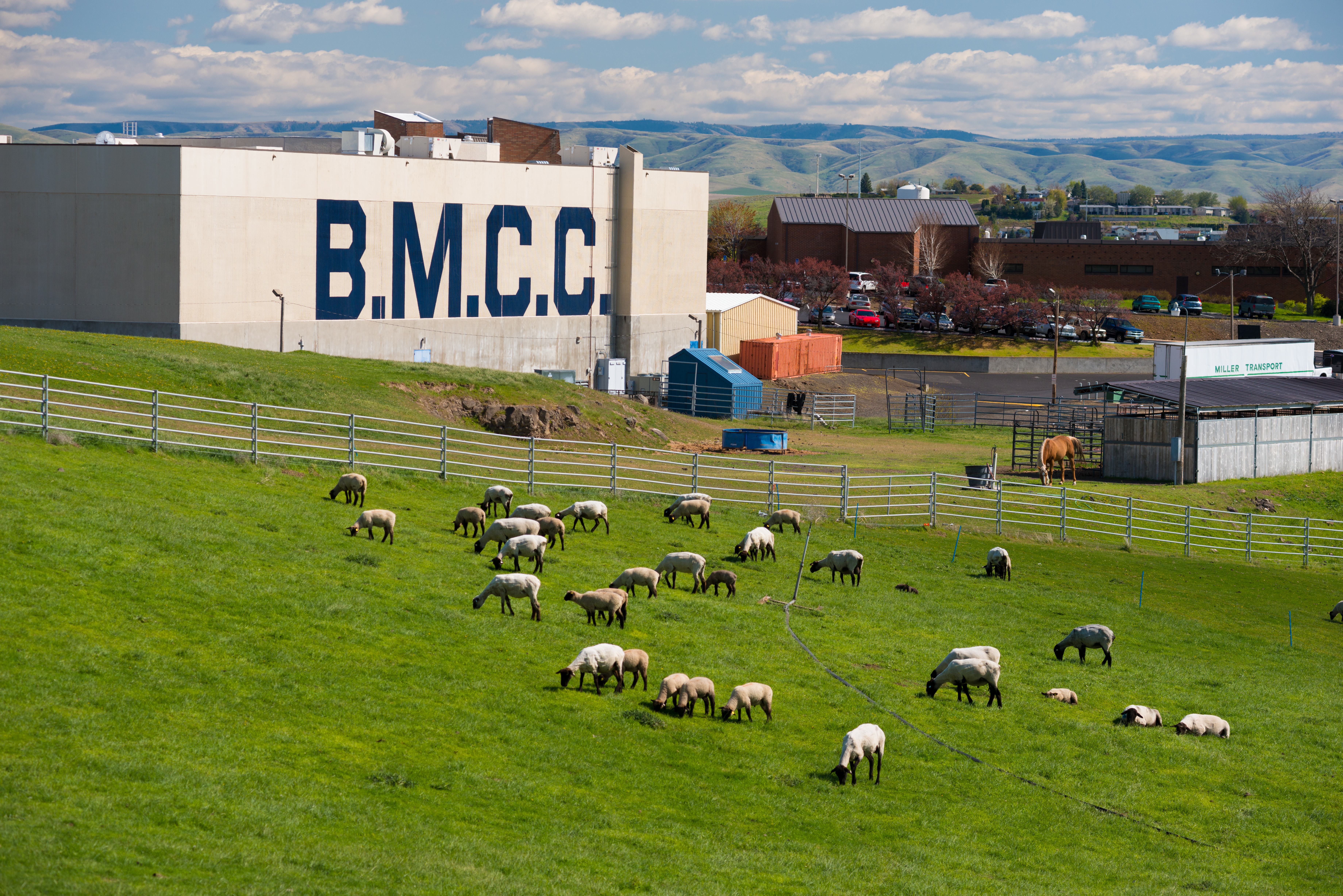 Welcome to BMCC